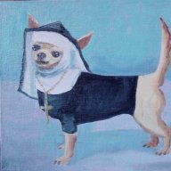 chihuahuacherub